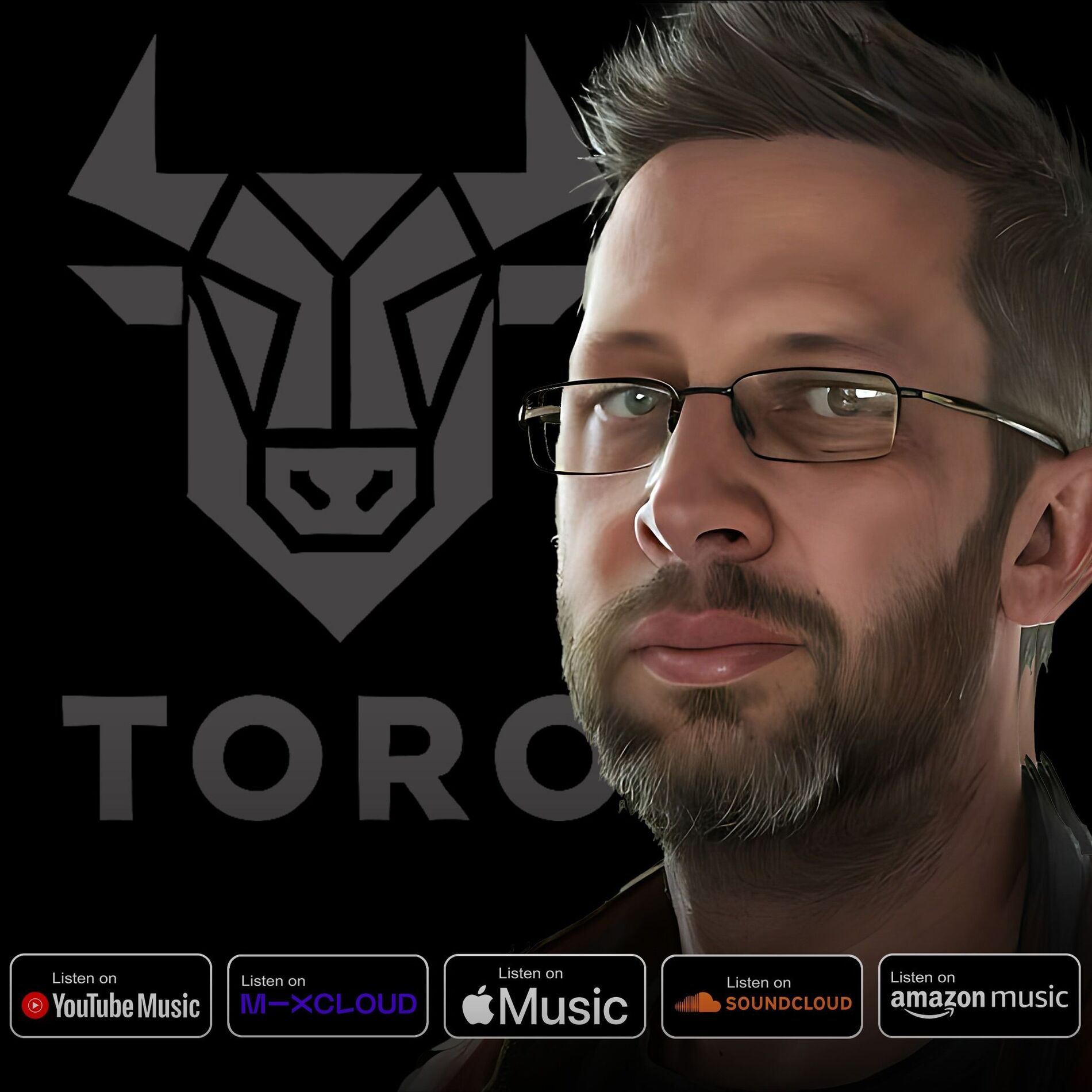 Show cover of Toro In The Mix