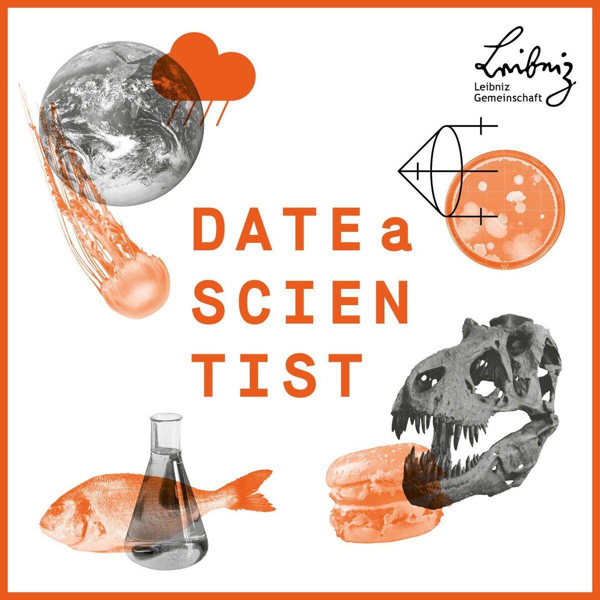 Show cover of Date a Scientist