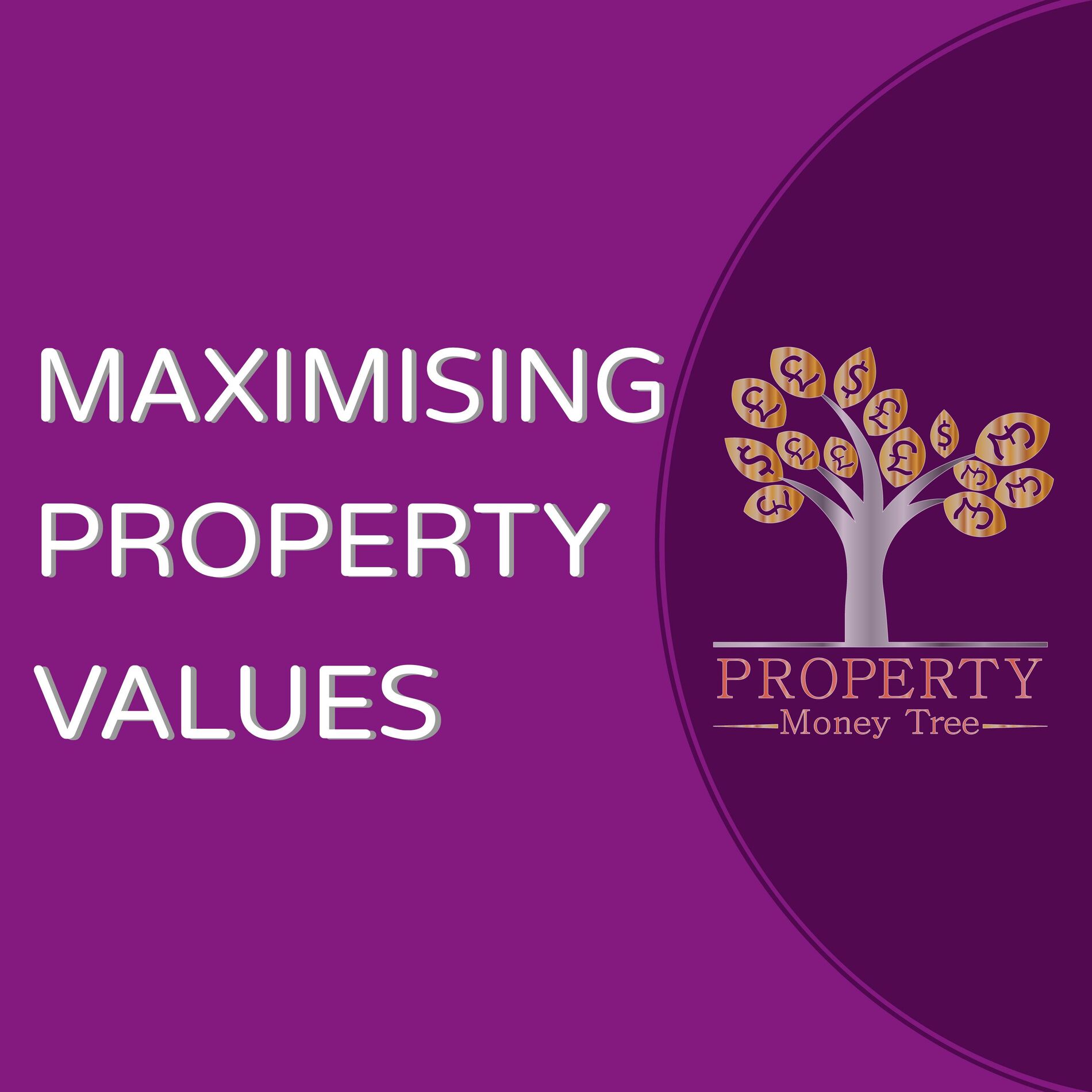 Show cover of Maximising Property Values