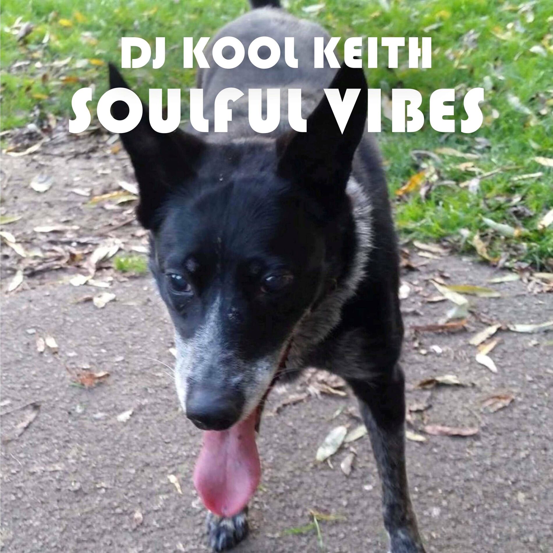 Show cover of DJ Kool Soulful Vibes