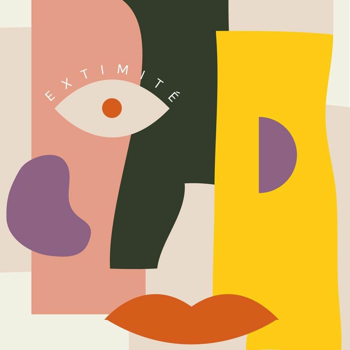 Show cover of Extimité
