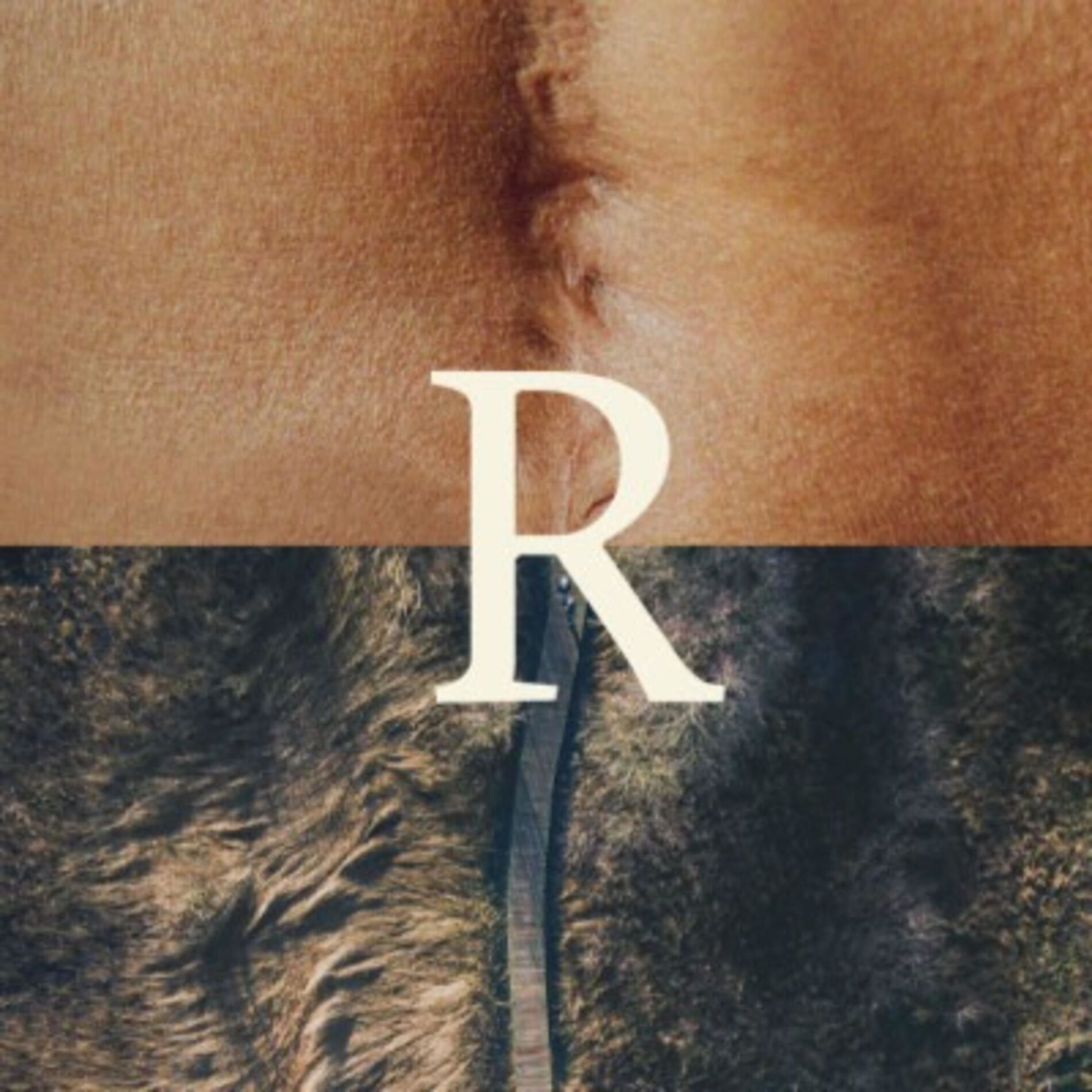 Show cover of Resilience