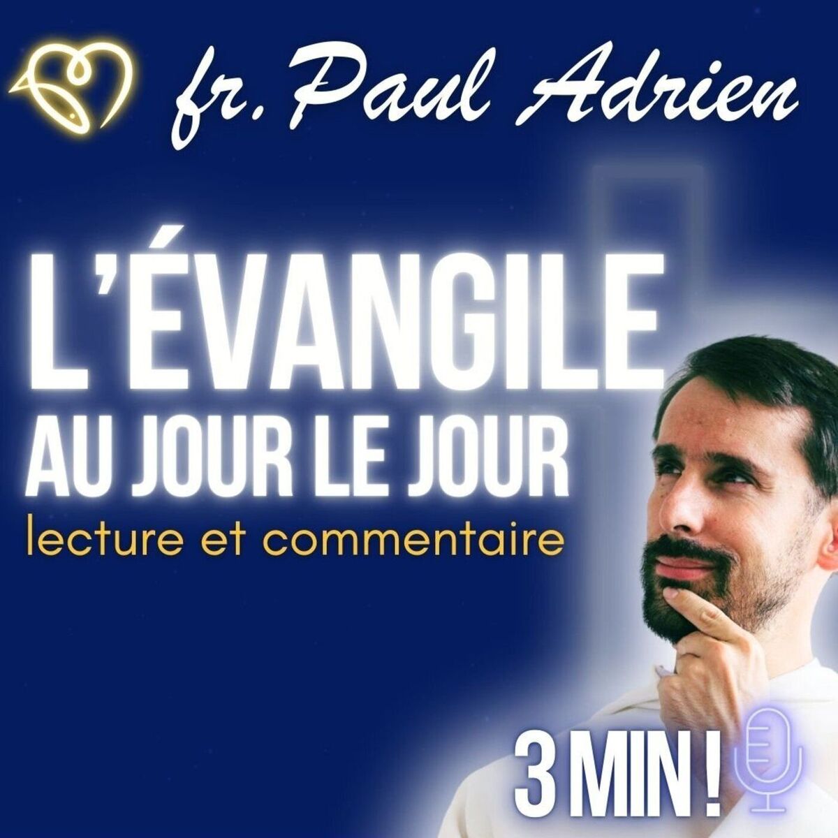 Show cover of L'Évangile au jour le jour • commentaires quotidiens