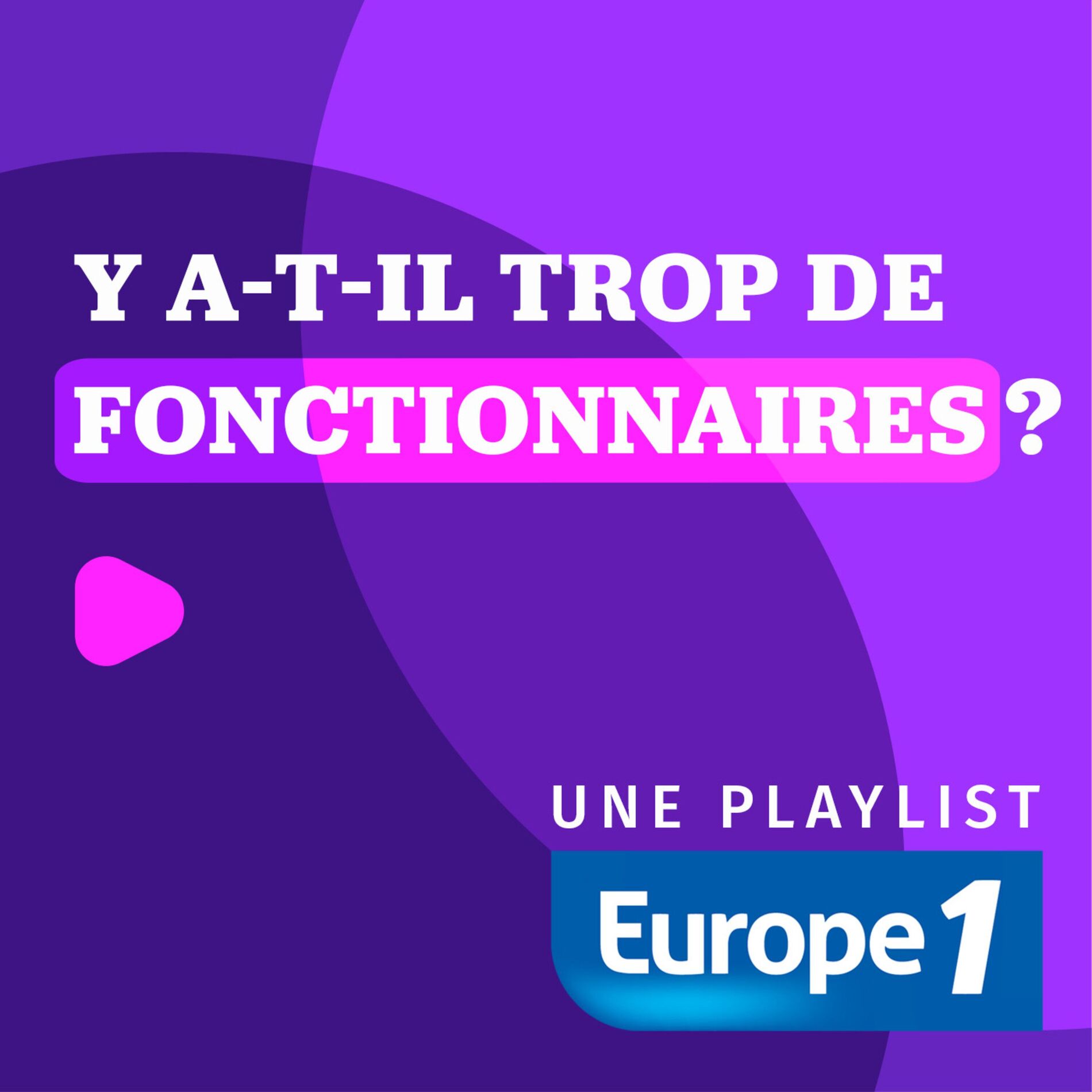 Show cover of Y a-t-il trop de fonctionnaires en France ?