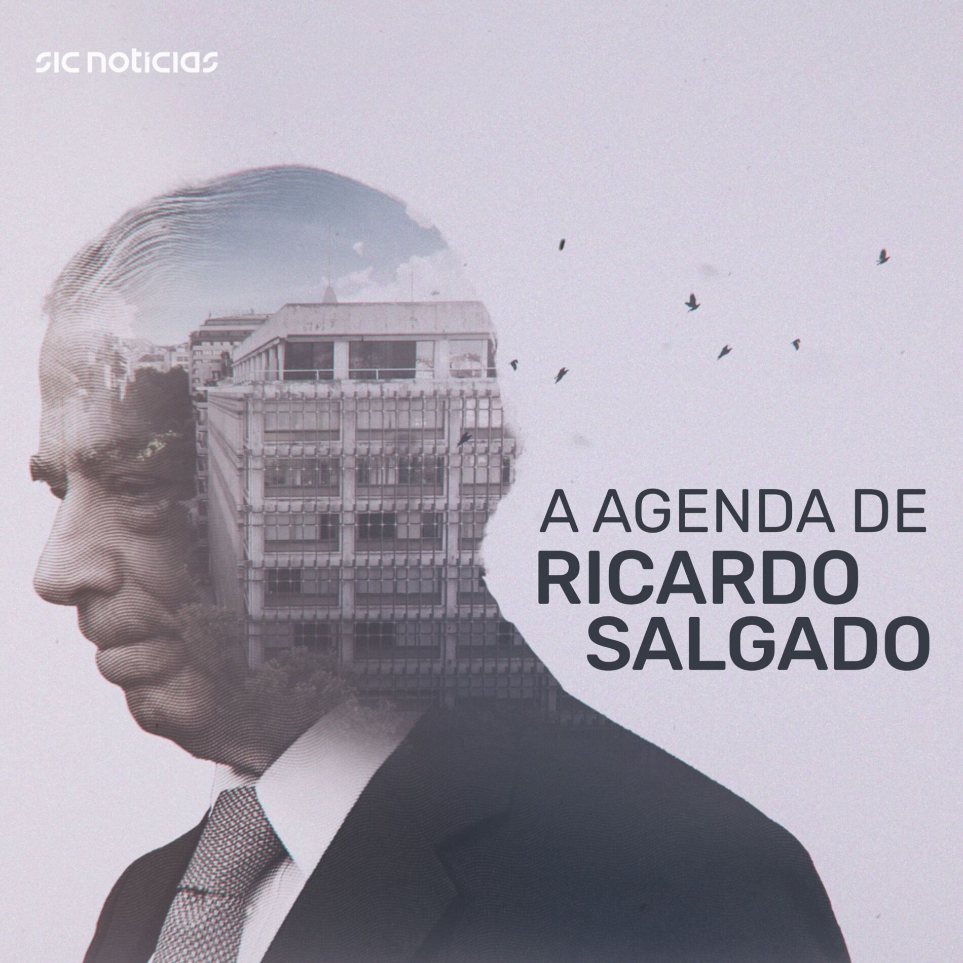 Show cover of A Agenda de Ricardo Salgado
