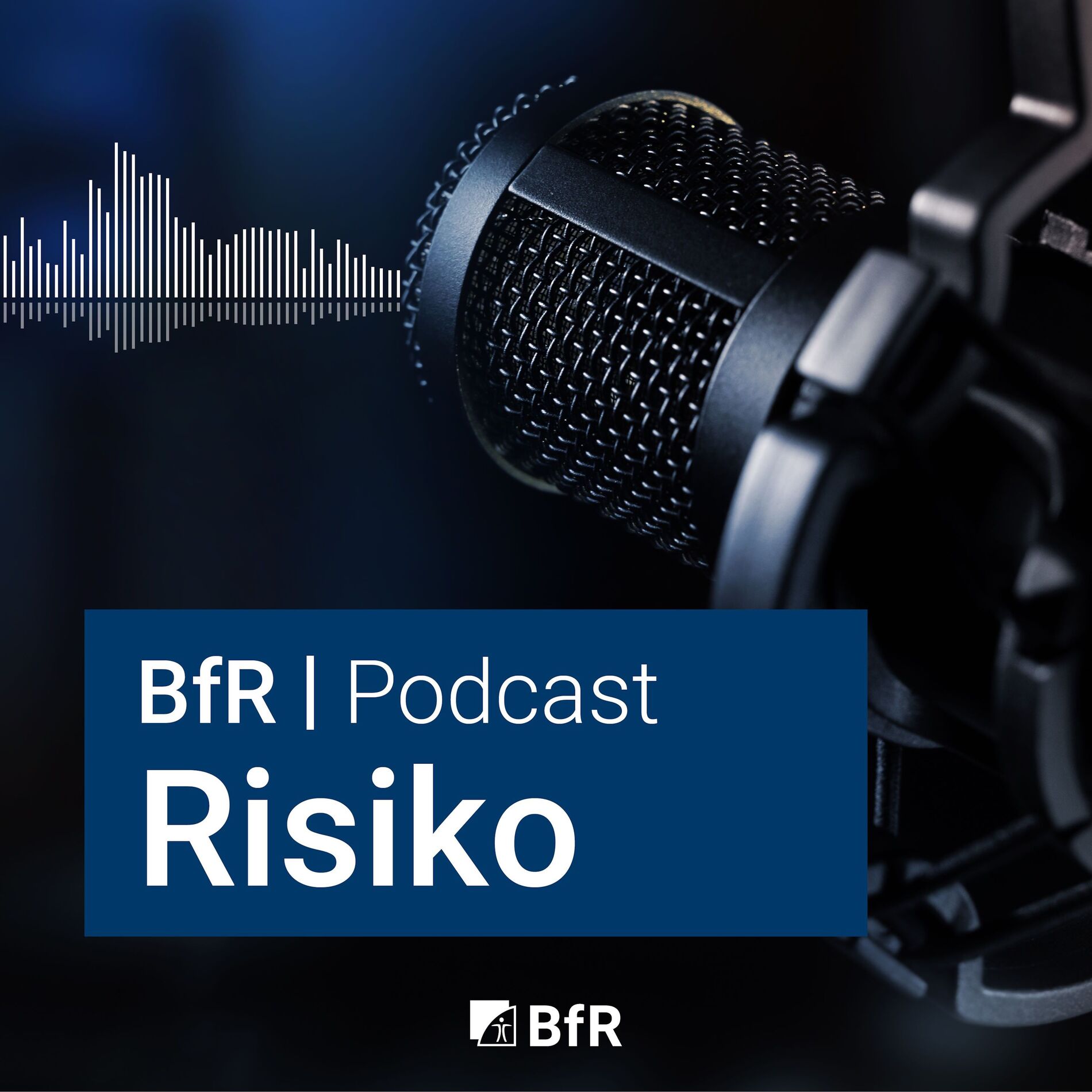Show cover of Risiko - Der BfR-Podcast