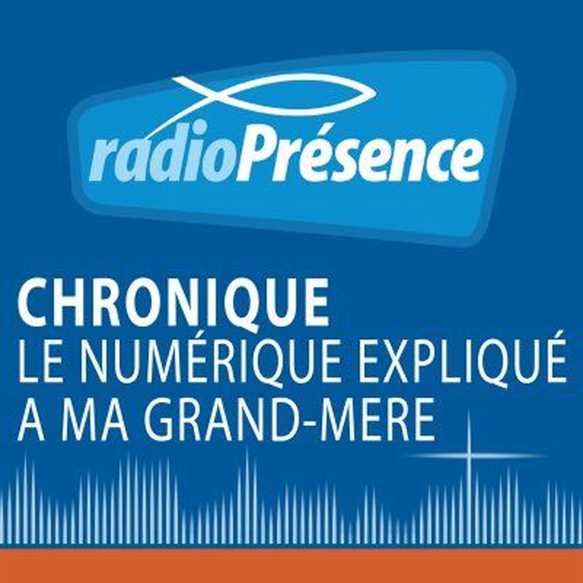 Show cover of Le numérique expliqué à ma grand mère