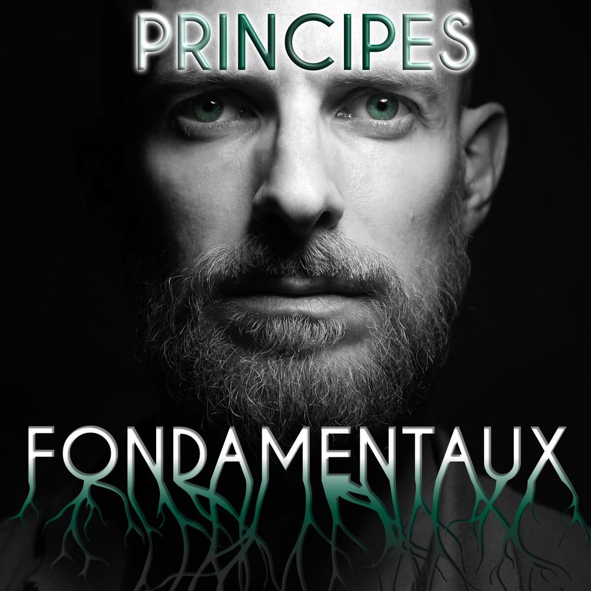 Show cover of Principes Fondamentaux