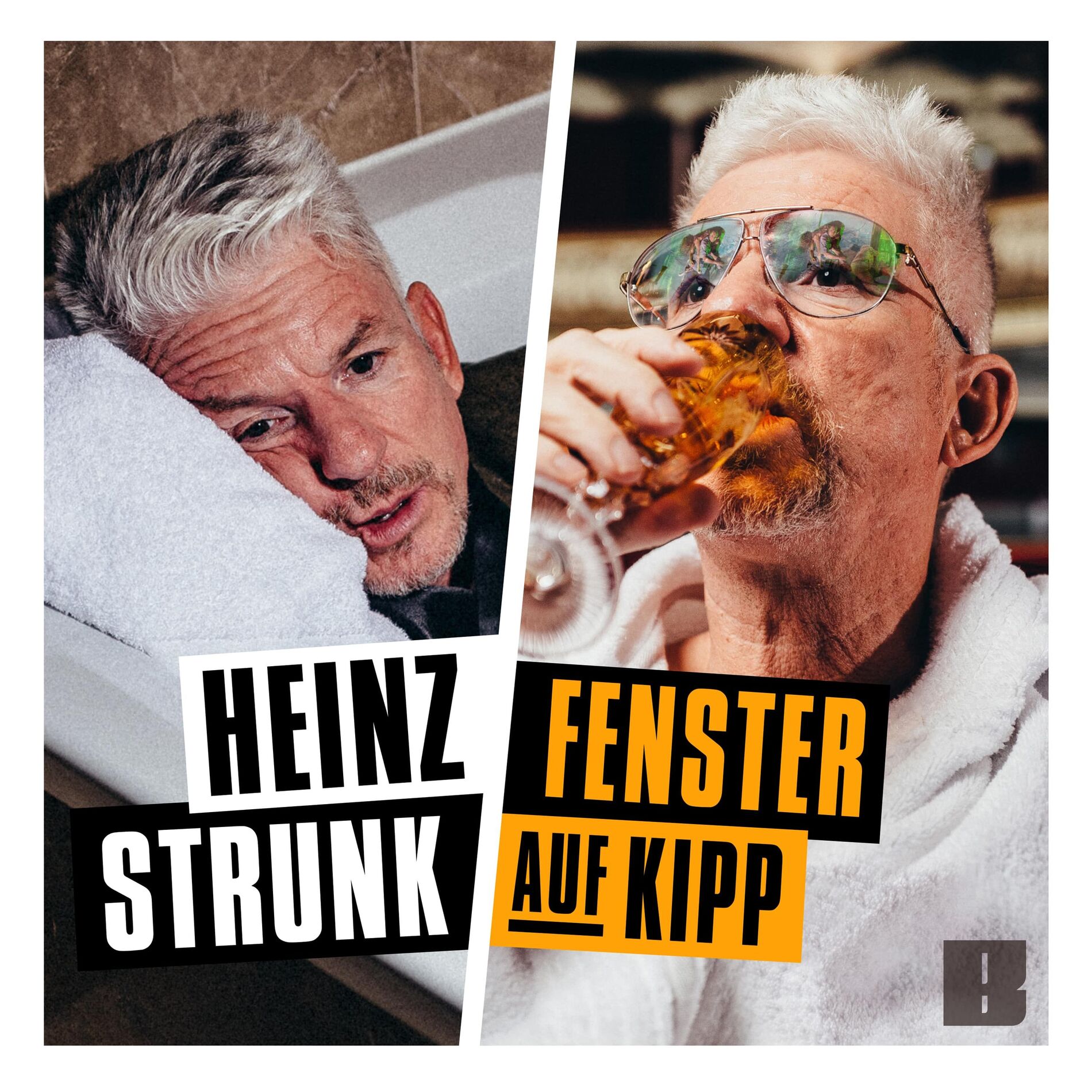 Show cover of Fenster auf Kipp