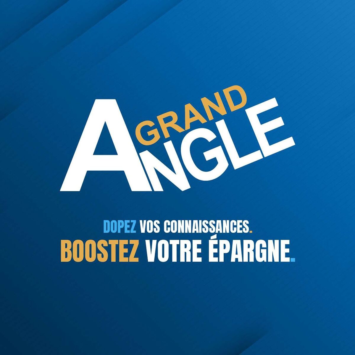 Show cover of Grand Angle Eco [Podcast]