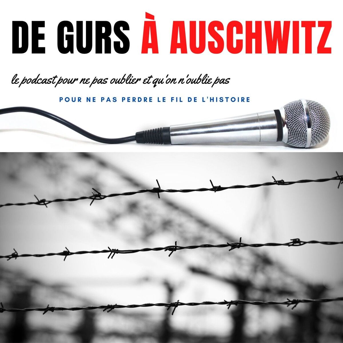 Show cover of Du Camp de Gurs à Auschwitz