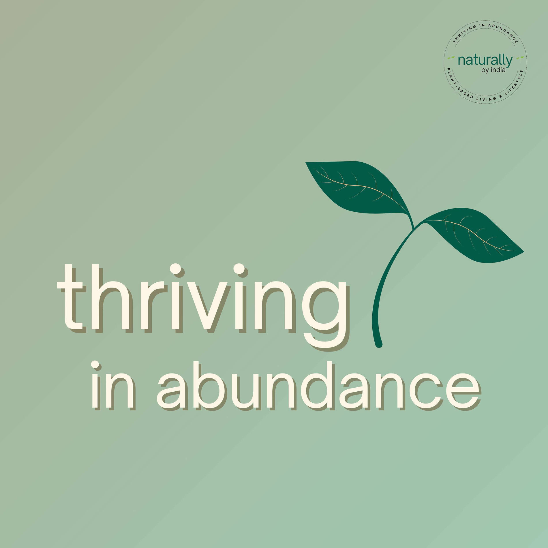 Show cover of Thriving In Abundance