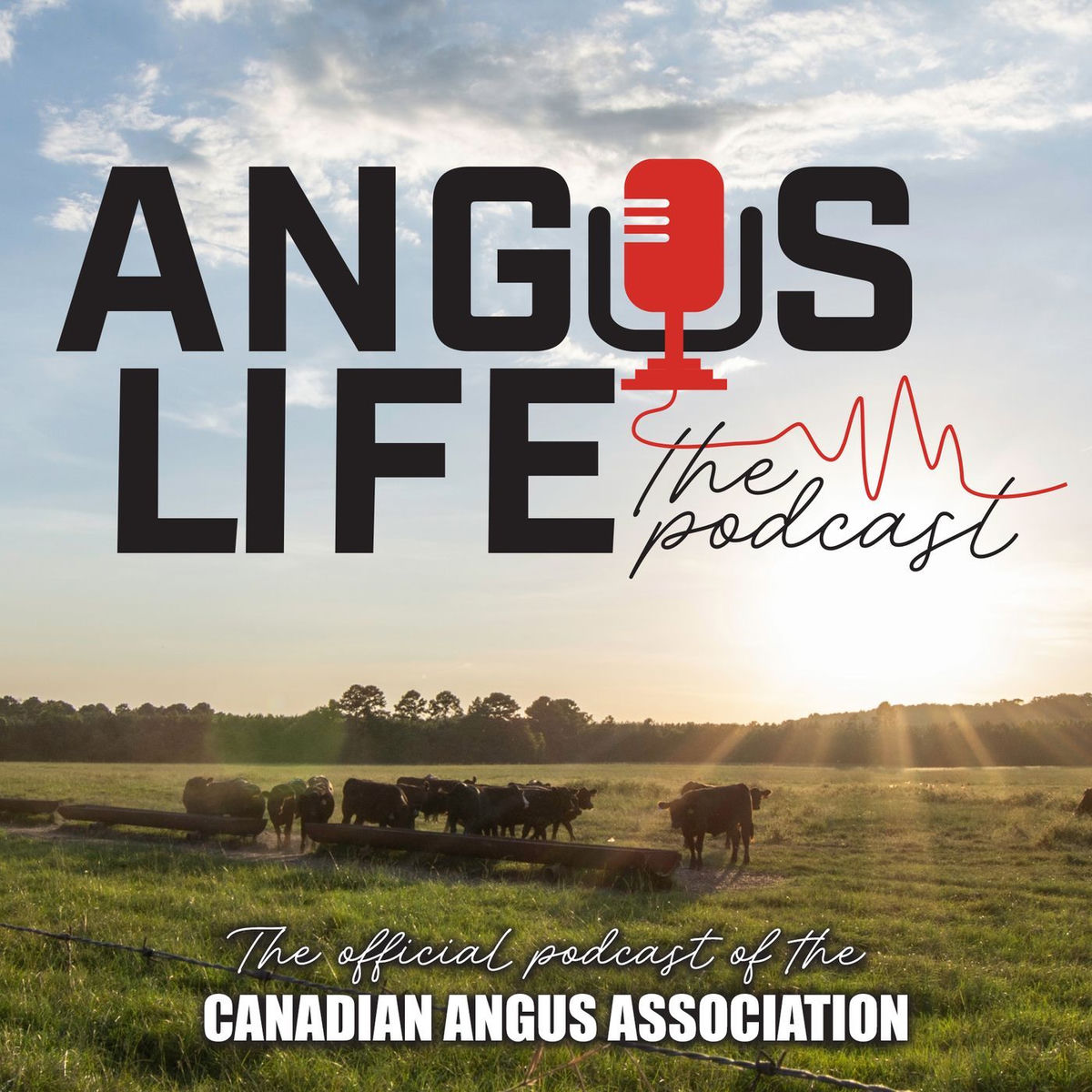 Show cover of Angus Life