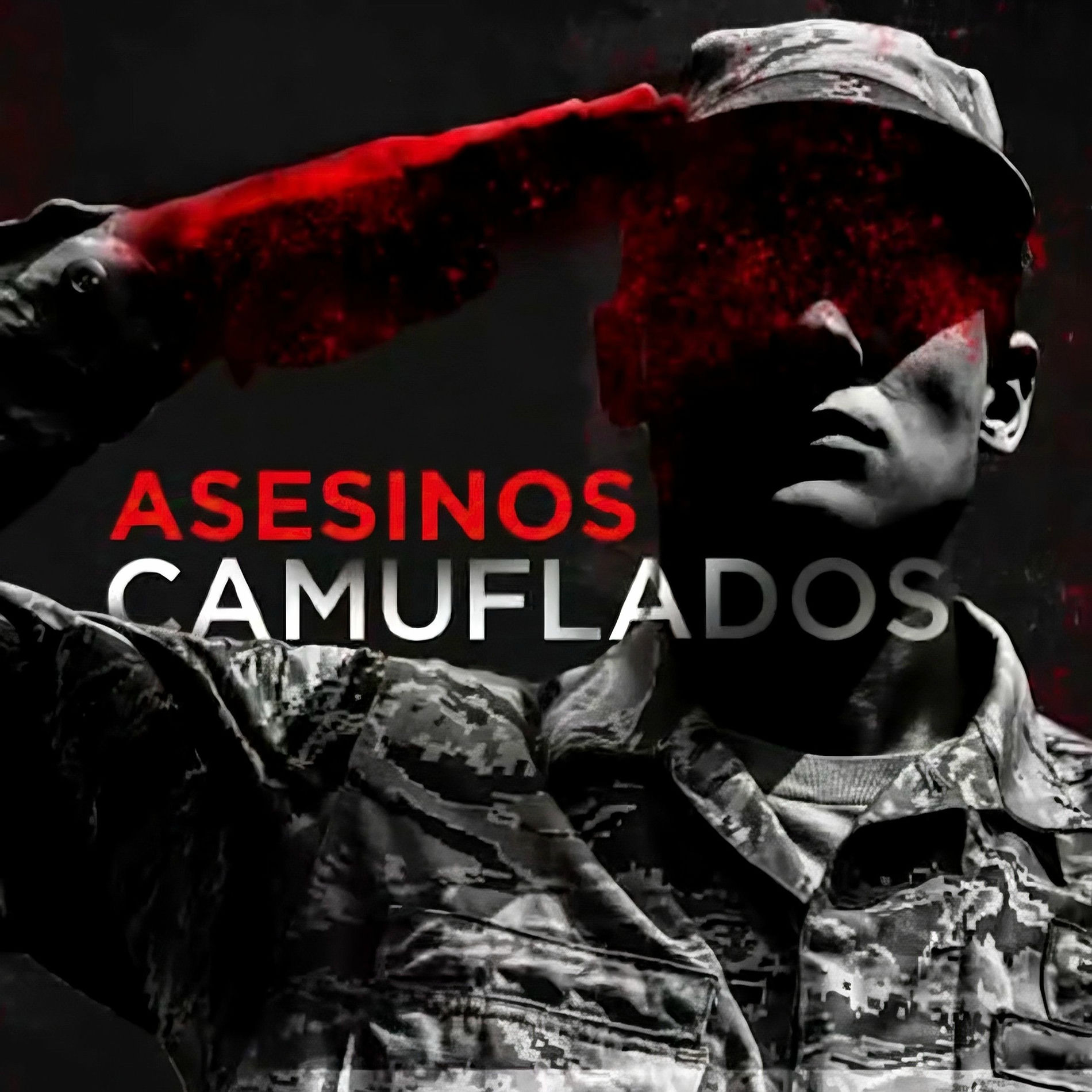 Show cover of Asesinos Camuflados