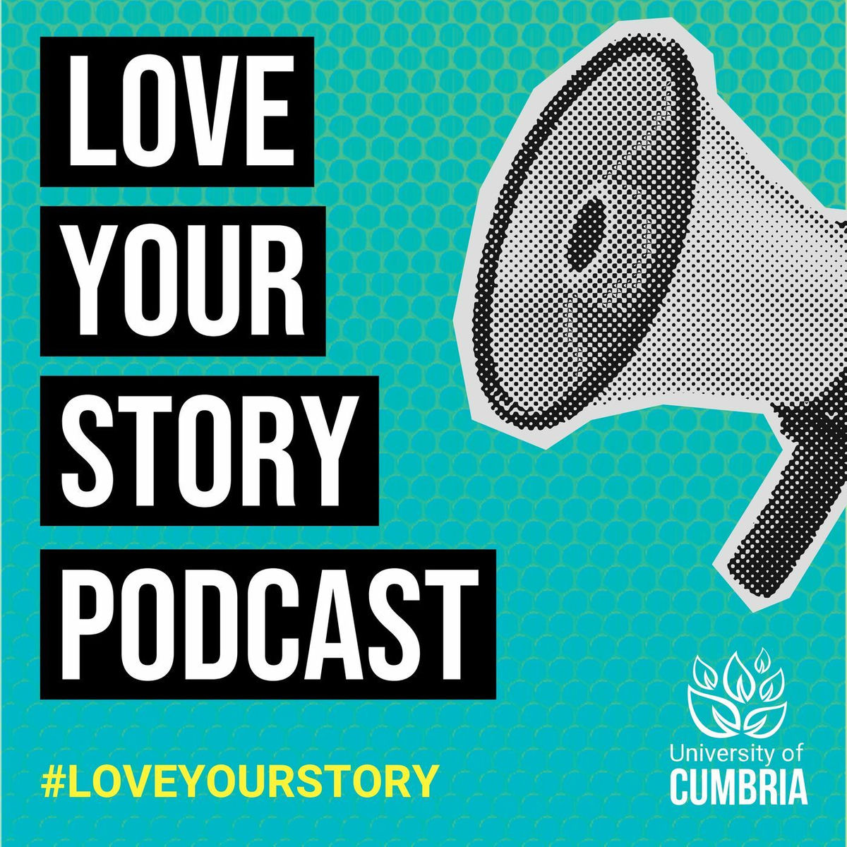 Show cover of Love Your Story
