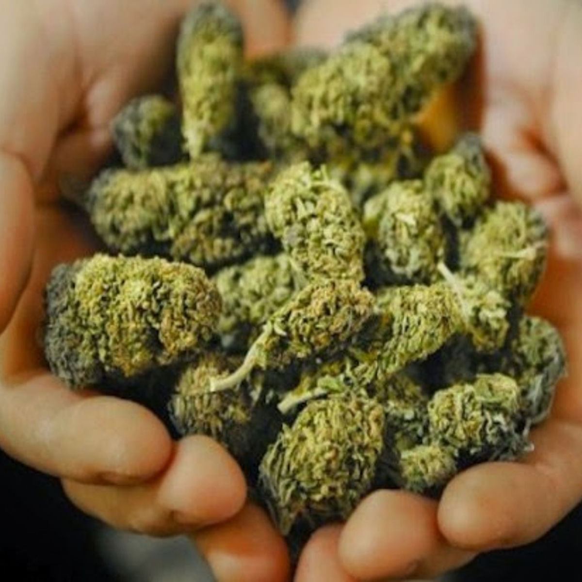 Show cover of Potcasts * Daily Cannabis Investing news