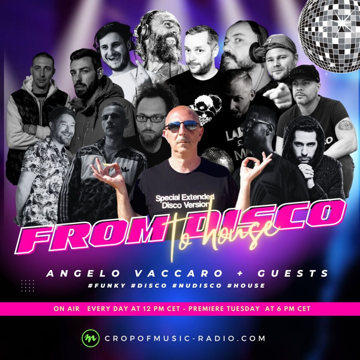 Show cover of From Disco to House