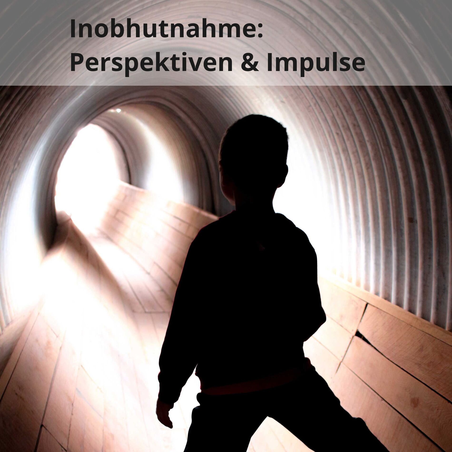Show cover of Inobhutnahme: Perspektiven & Impulse