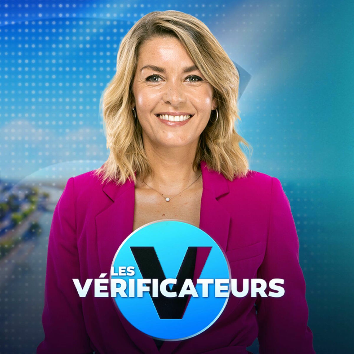 Show cover of Les Vérificateurs