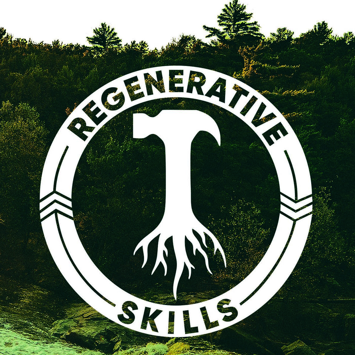 Show cover of Regenerative Skills
