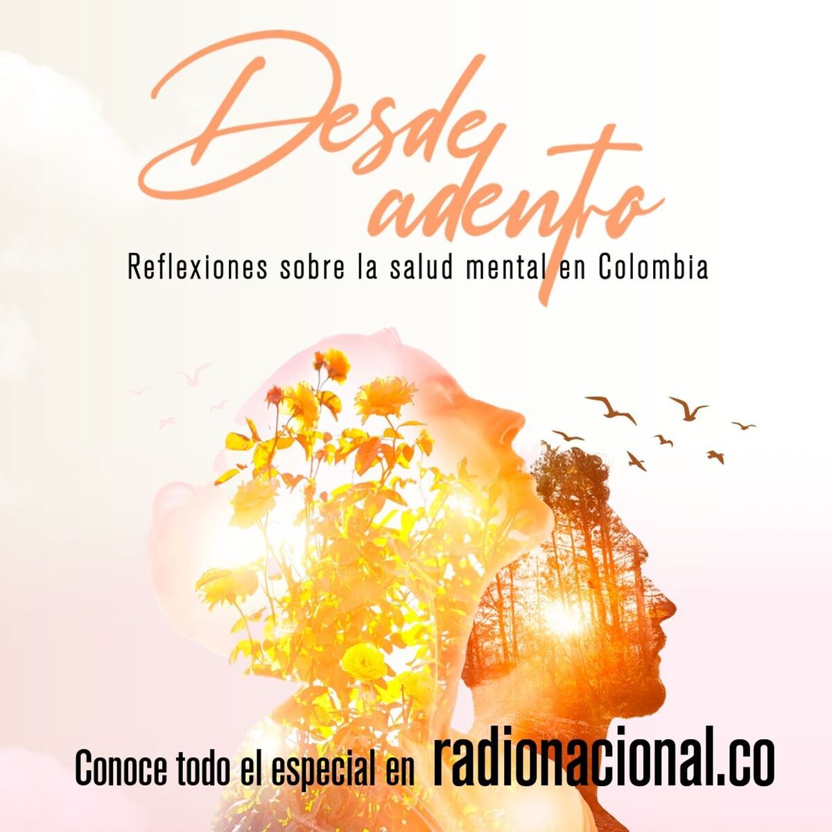 Show cover of Desde adentro: reflexiones sobre la salud mental en Colombia
