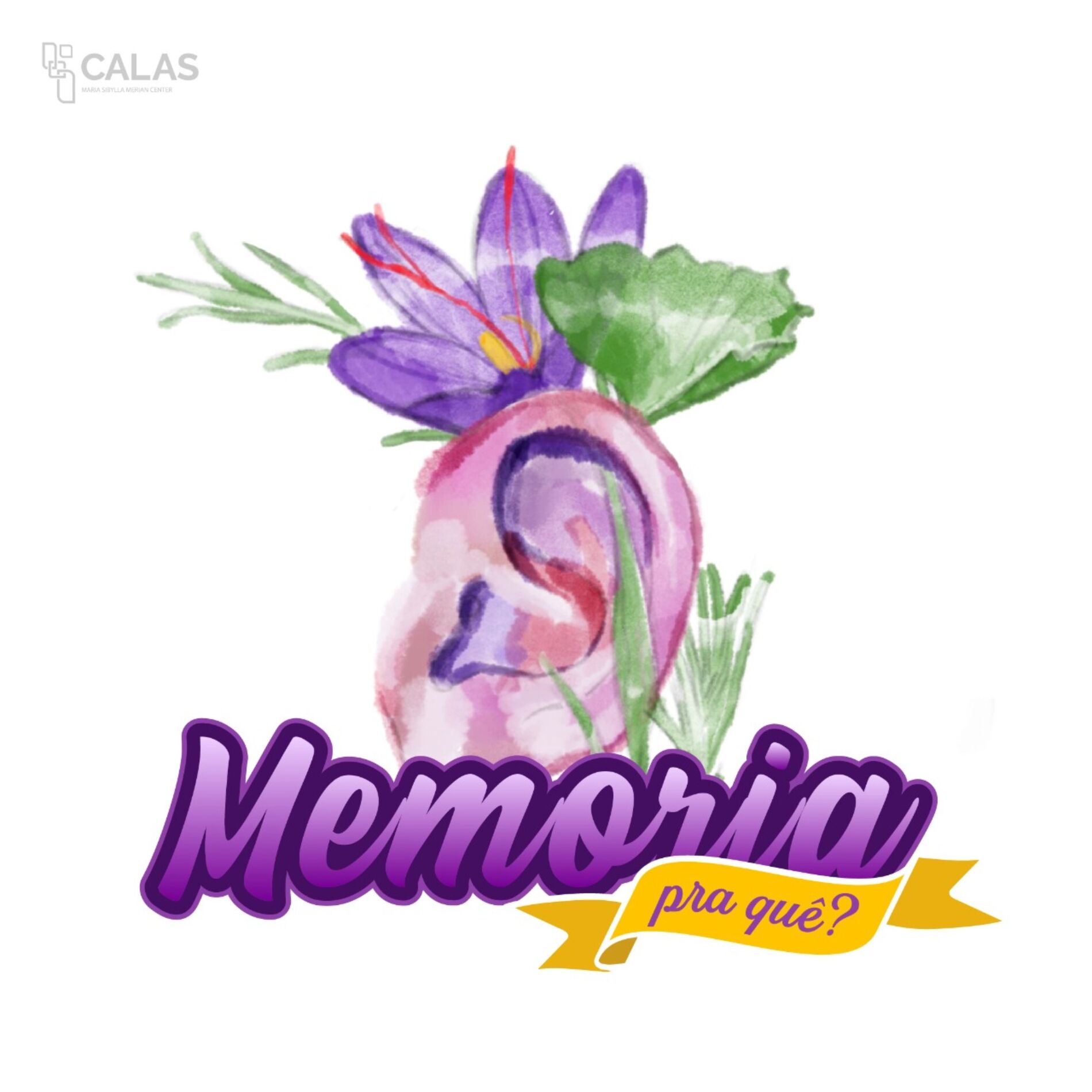 Show cover of Memória Pra Quê?