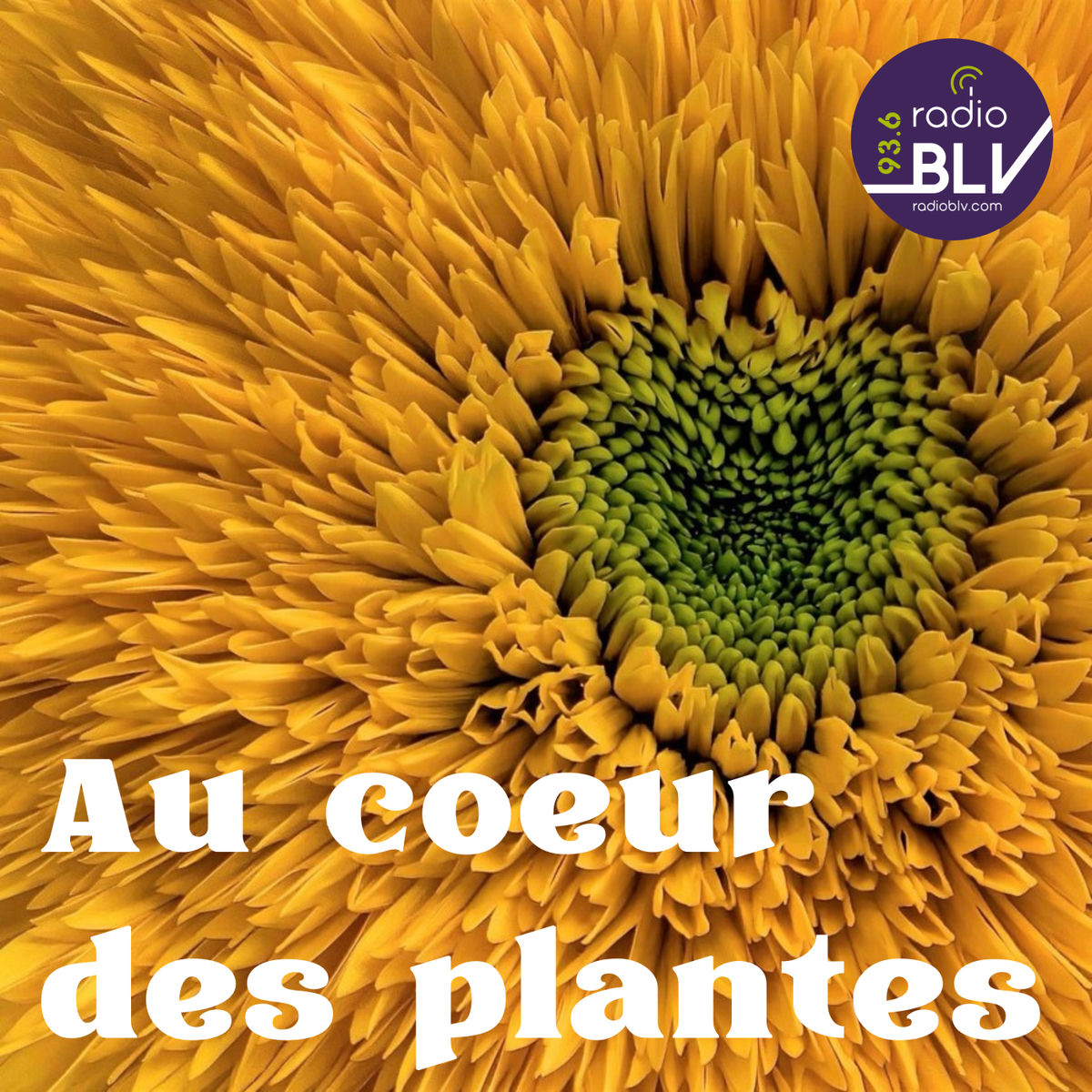 Show cover of Au cœur des plantes