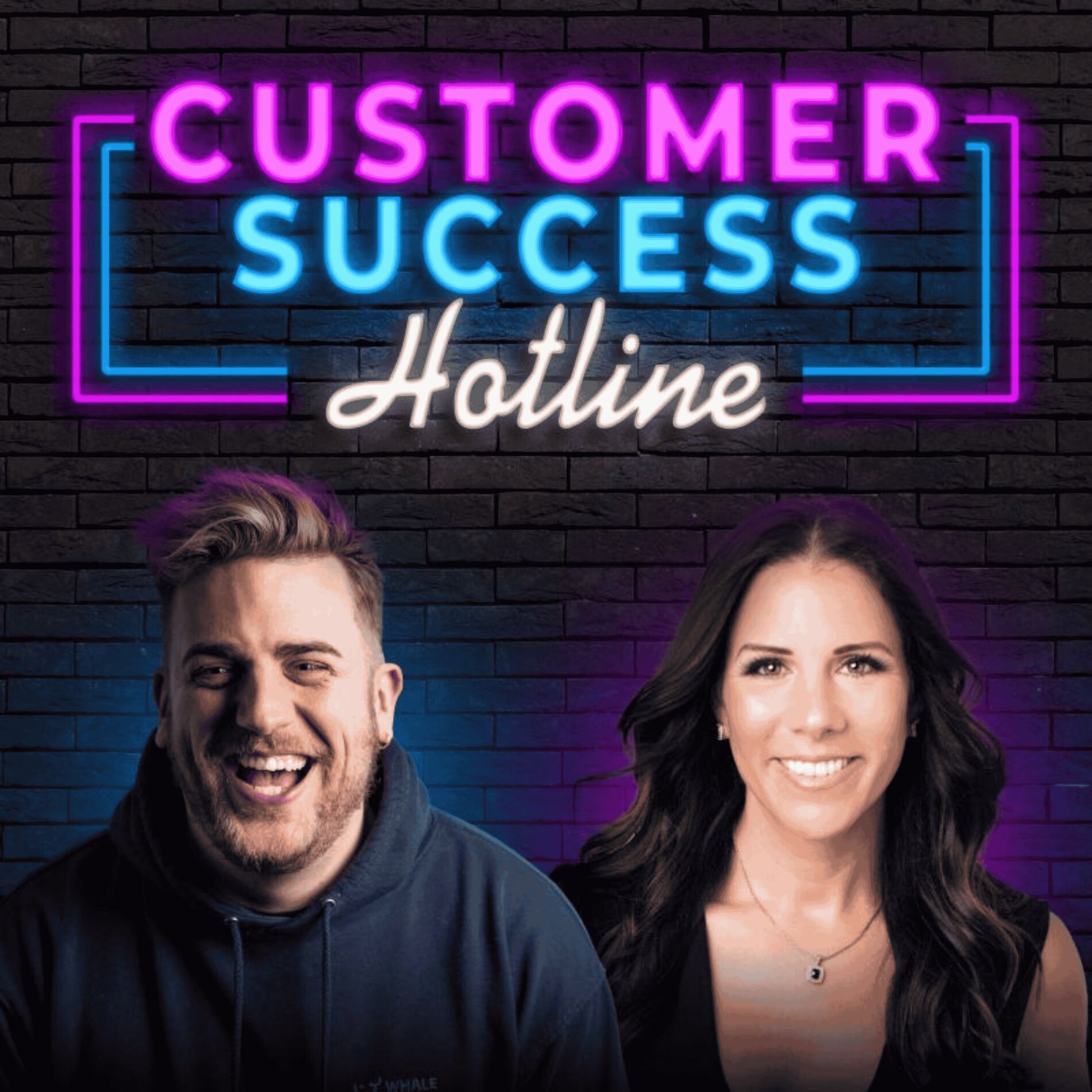 Show cover of The Customer Success Hotline