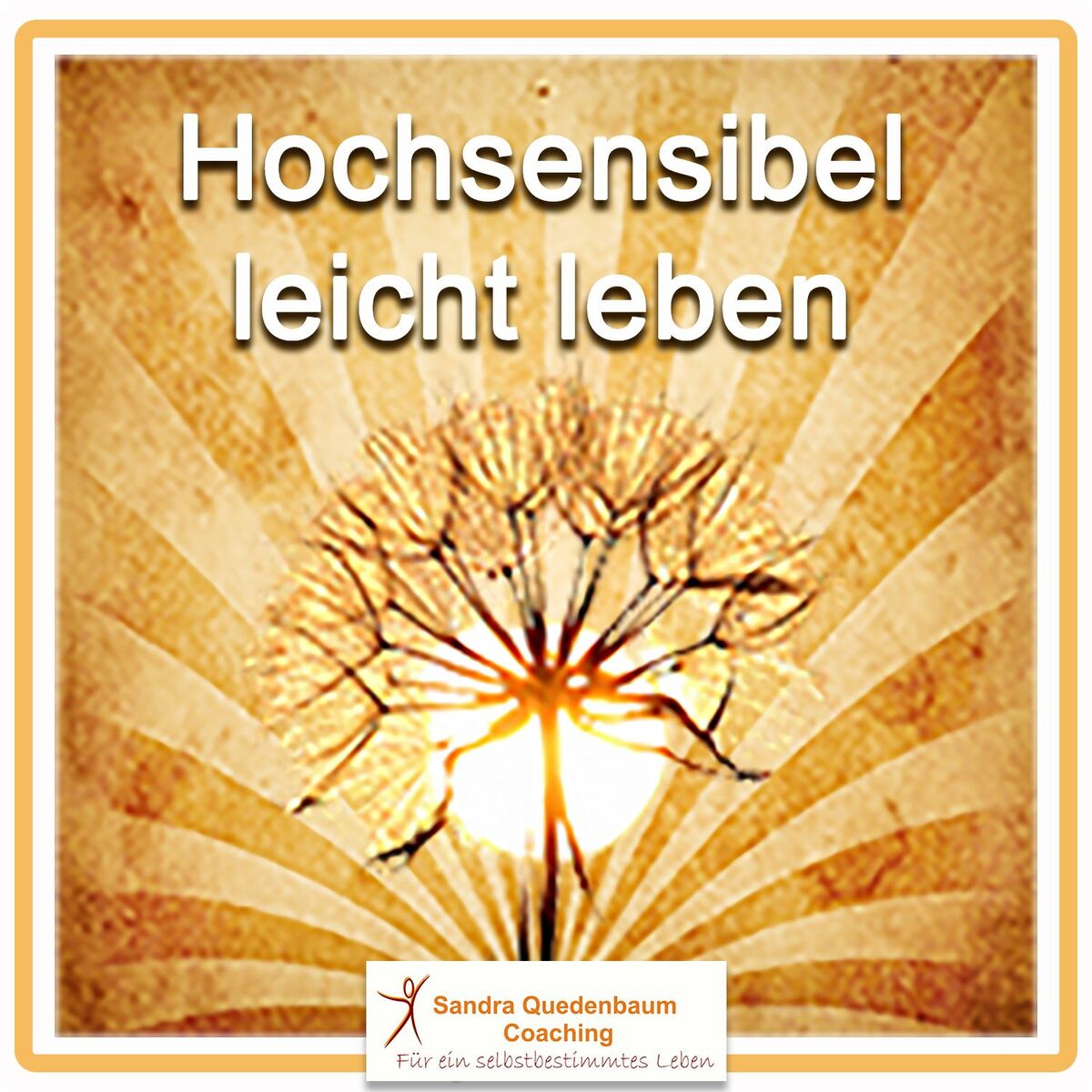 Show cover of hochsensibel-leicht-leben-podcast