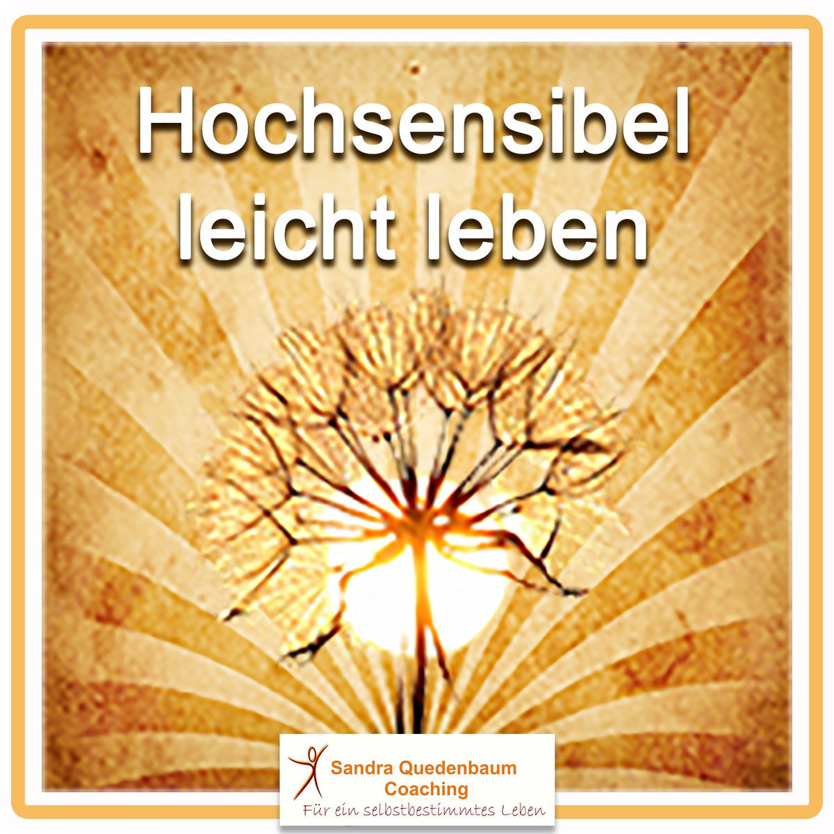 Show cover of hochsensibel-leicht-leben-podcast
