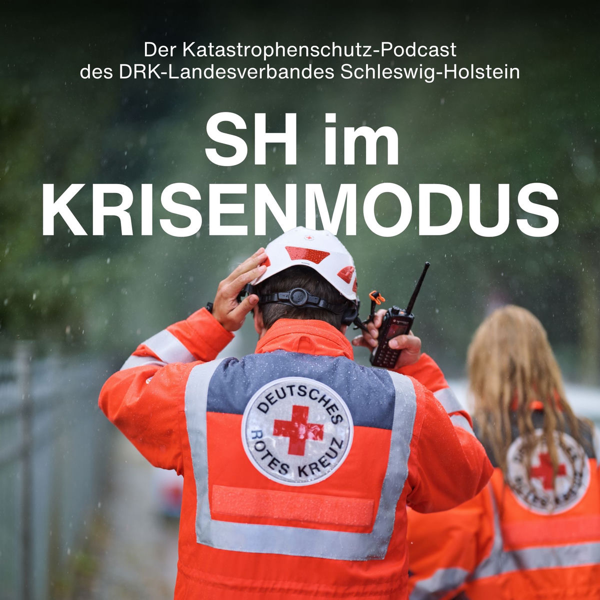 Show cover of SH im Krisenmodus