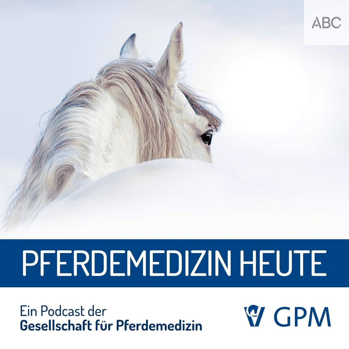 Show cover of Pferdemedizin heute