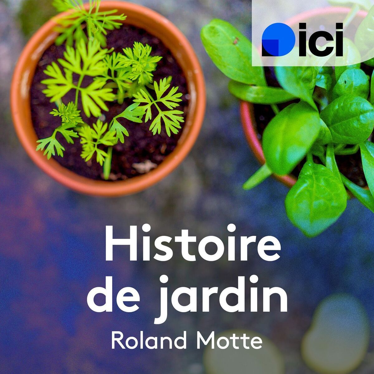 Show cover of Histoire de jardin aujourd'hui en Lorraine - ici Sud Lorraine