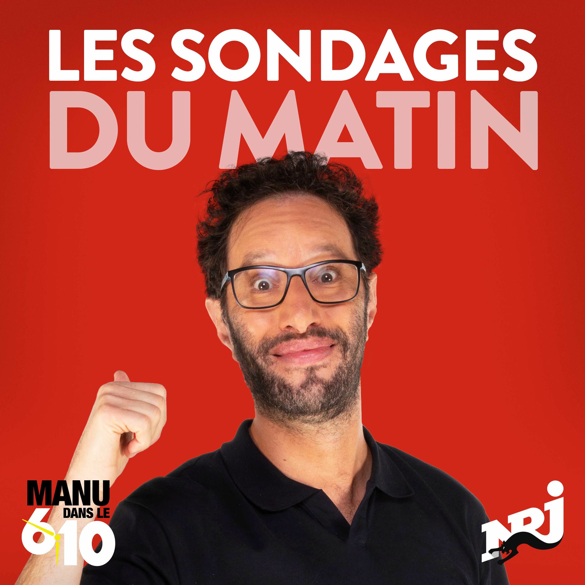 Show cover of Les Sondages Du Matin