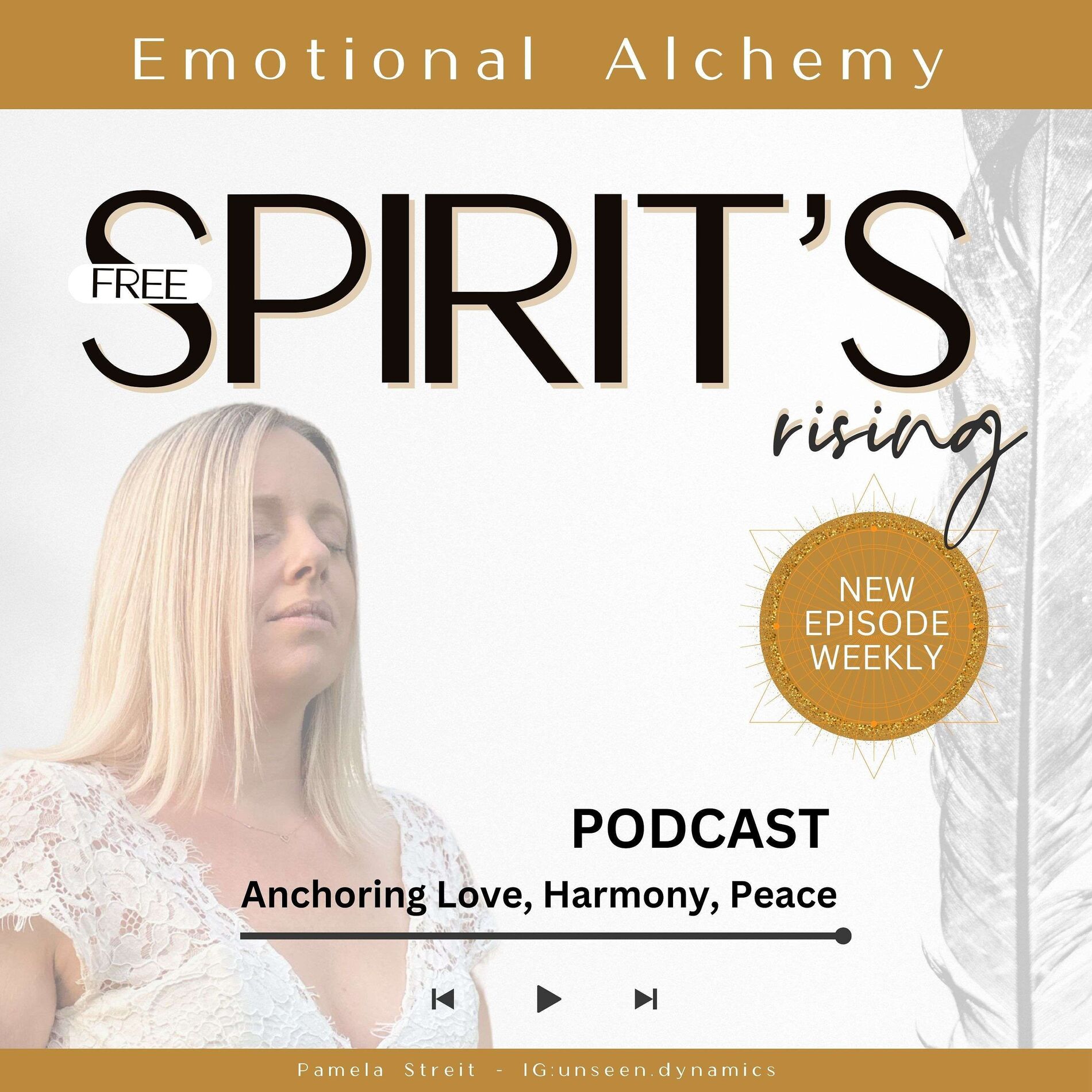 Show cover of Healing On The Go