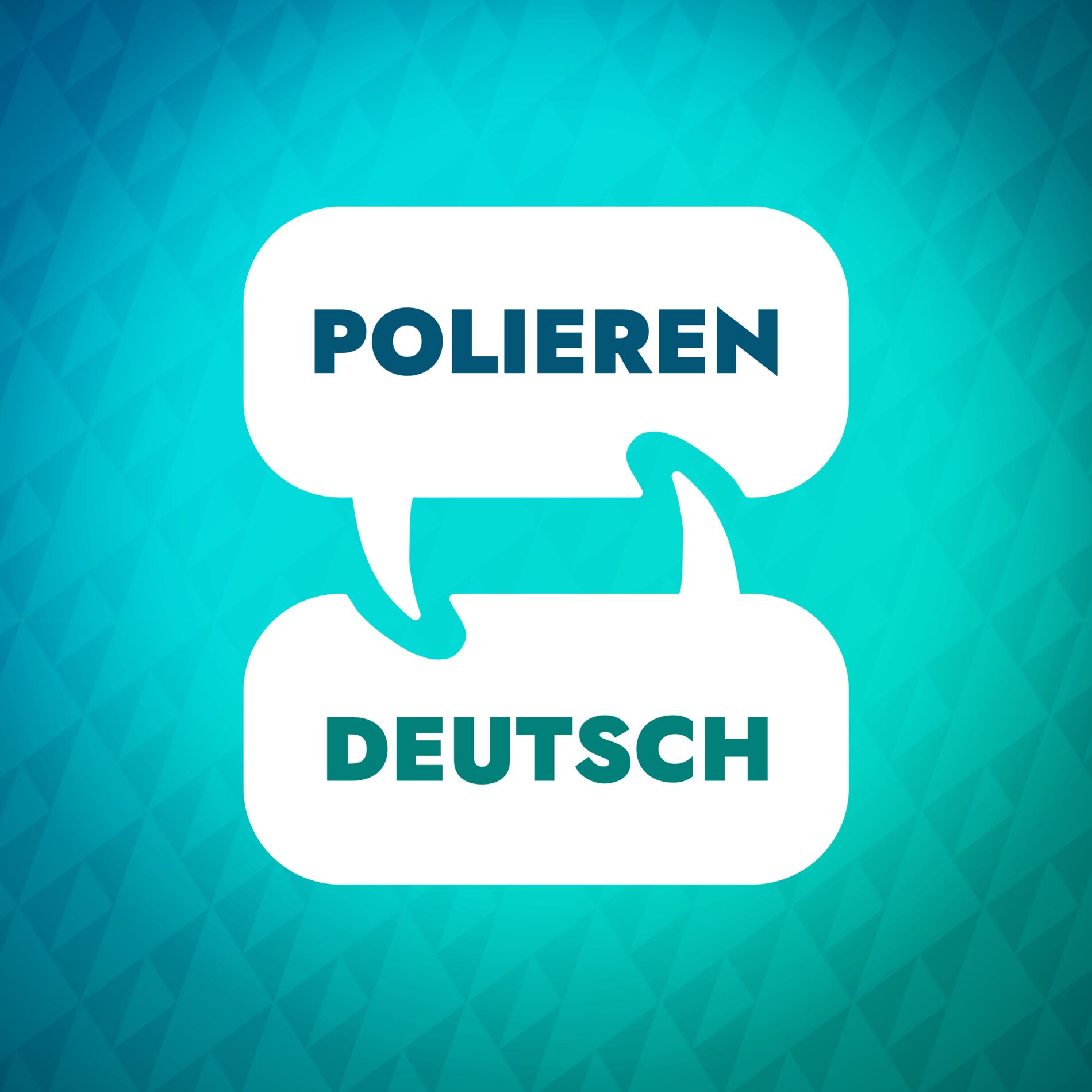 Show cover of Polnischer Lernbeschleuniger