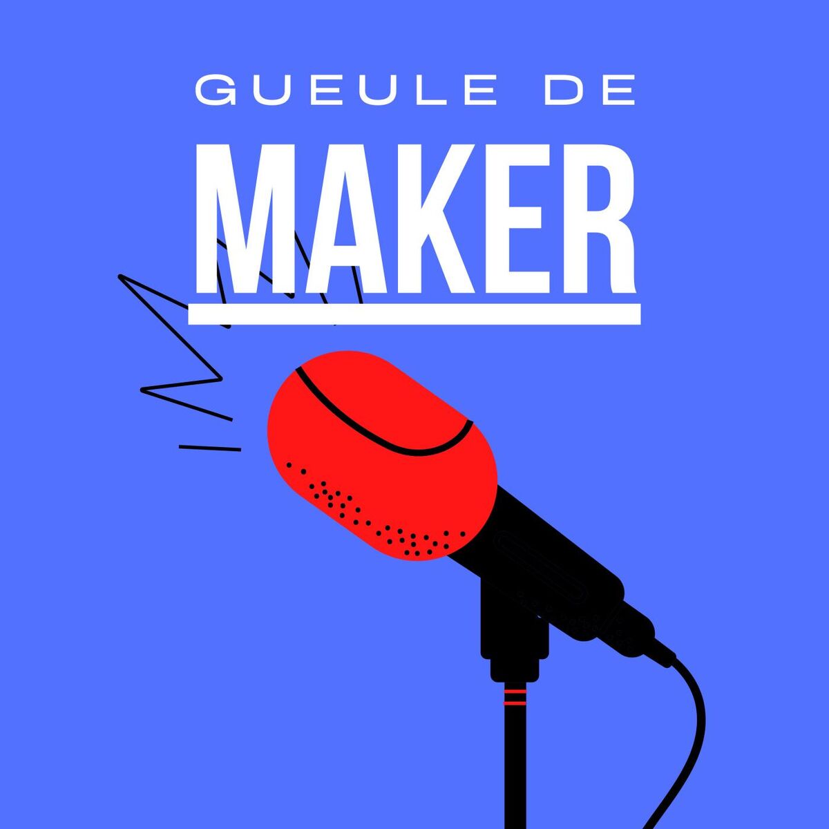 Show cover of Gueule de Maker