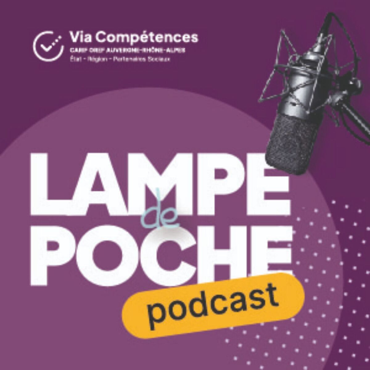 Show cover of Lampe de Poche par Via Compétences