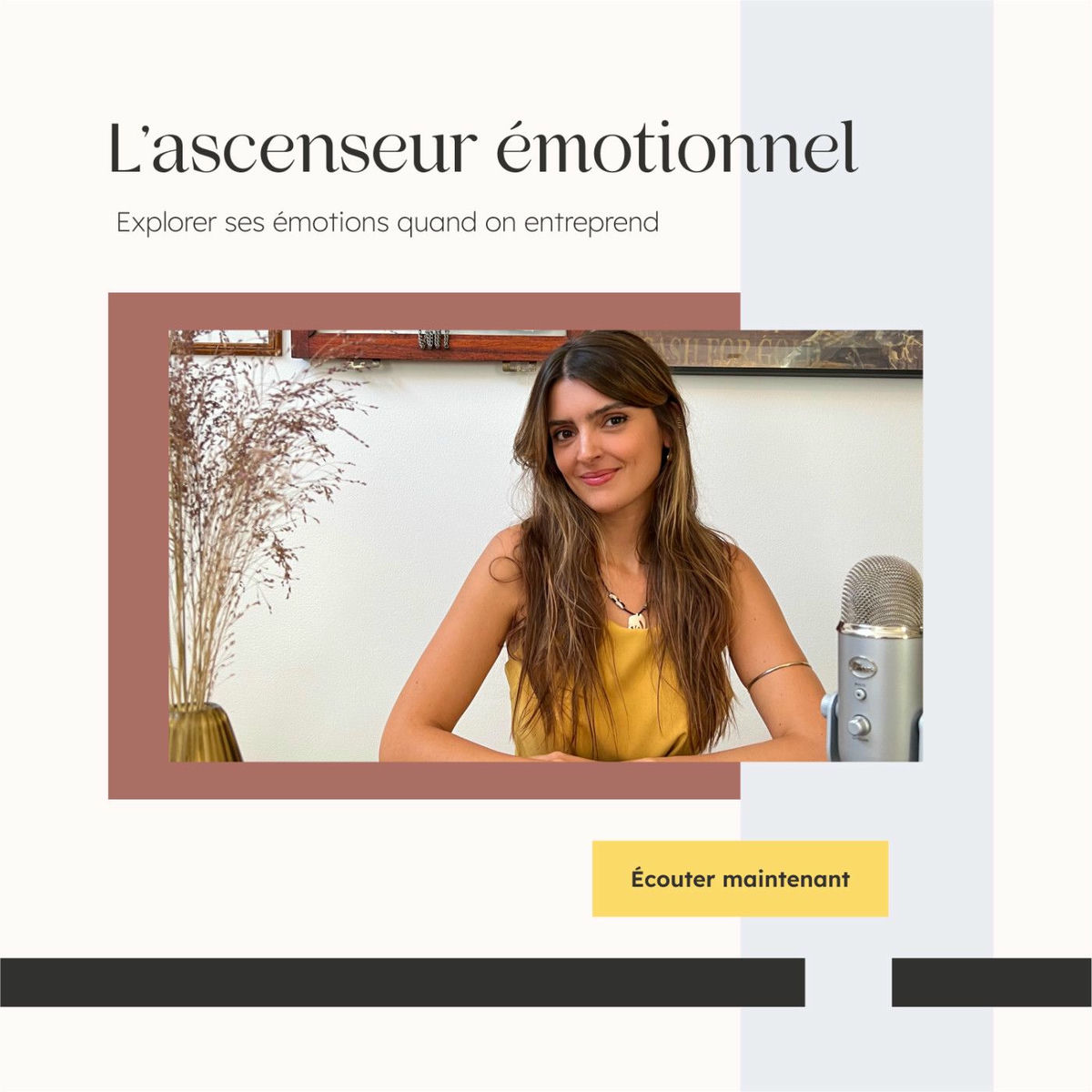 Show cover of L'ascenseur émotionnel