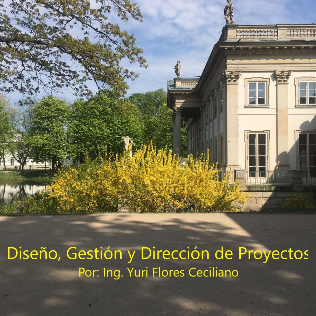 Show cover of Diseño, Gestión y Dirección de Proyectos