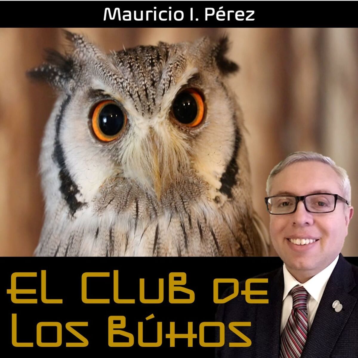 Show cover of El Club de los Búhos