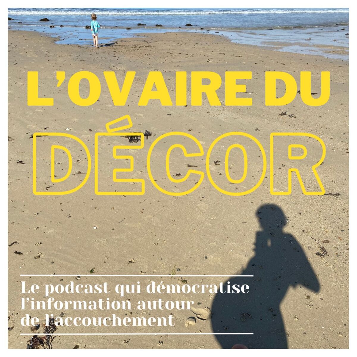 Show cover of L'ovaire du décor