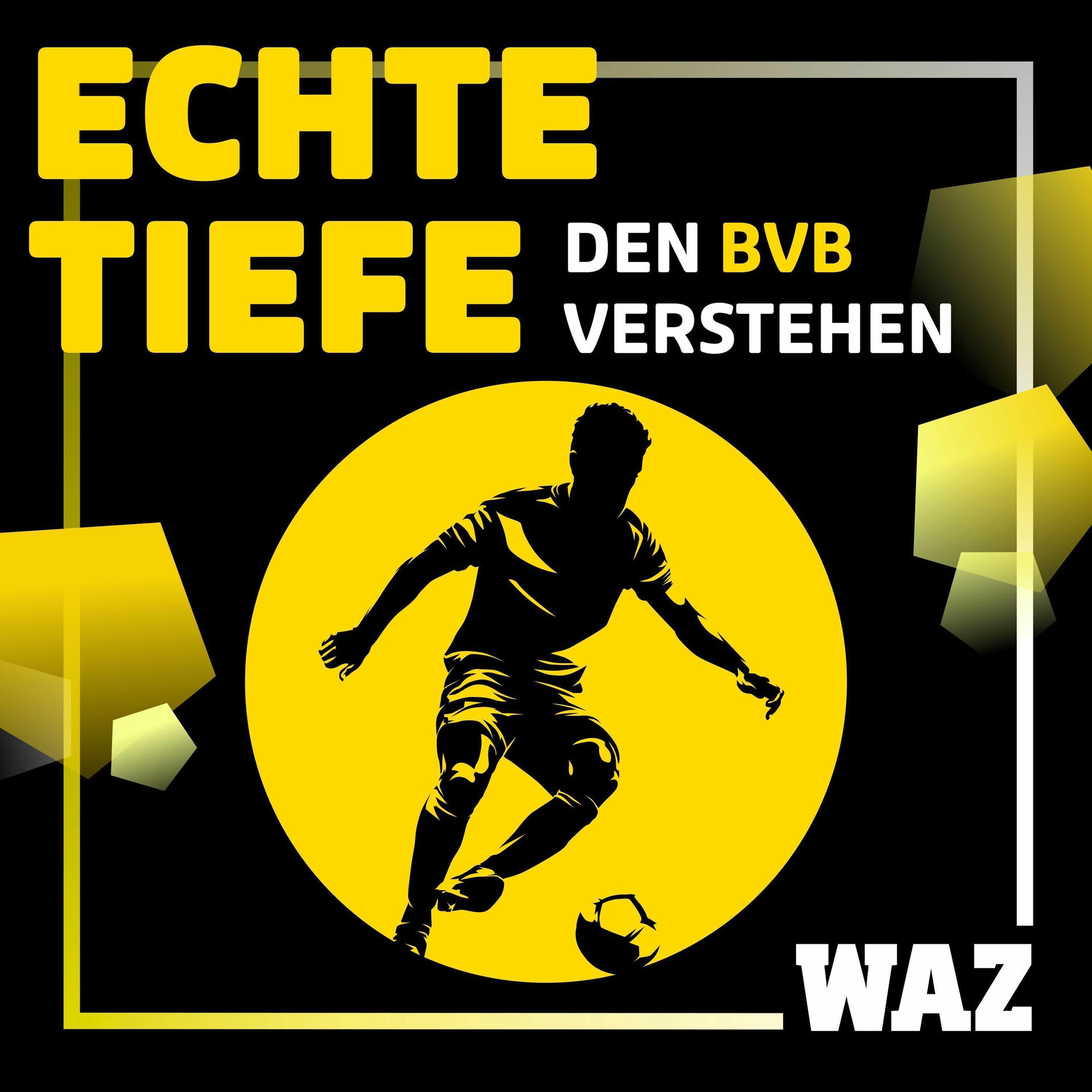 Show cover of Echte Tiefe – den BVB verstehen