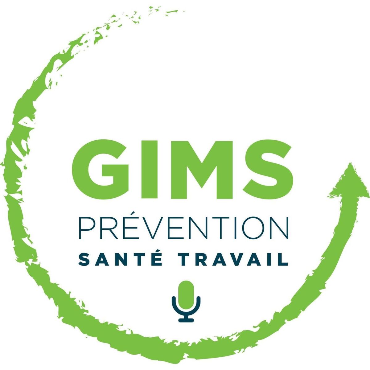 Show cover of Prévention et santé au travail