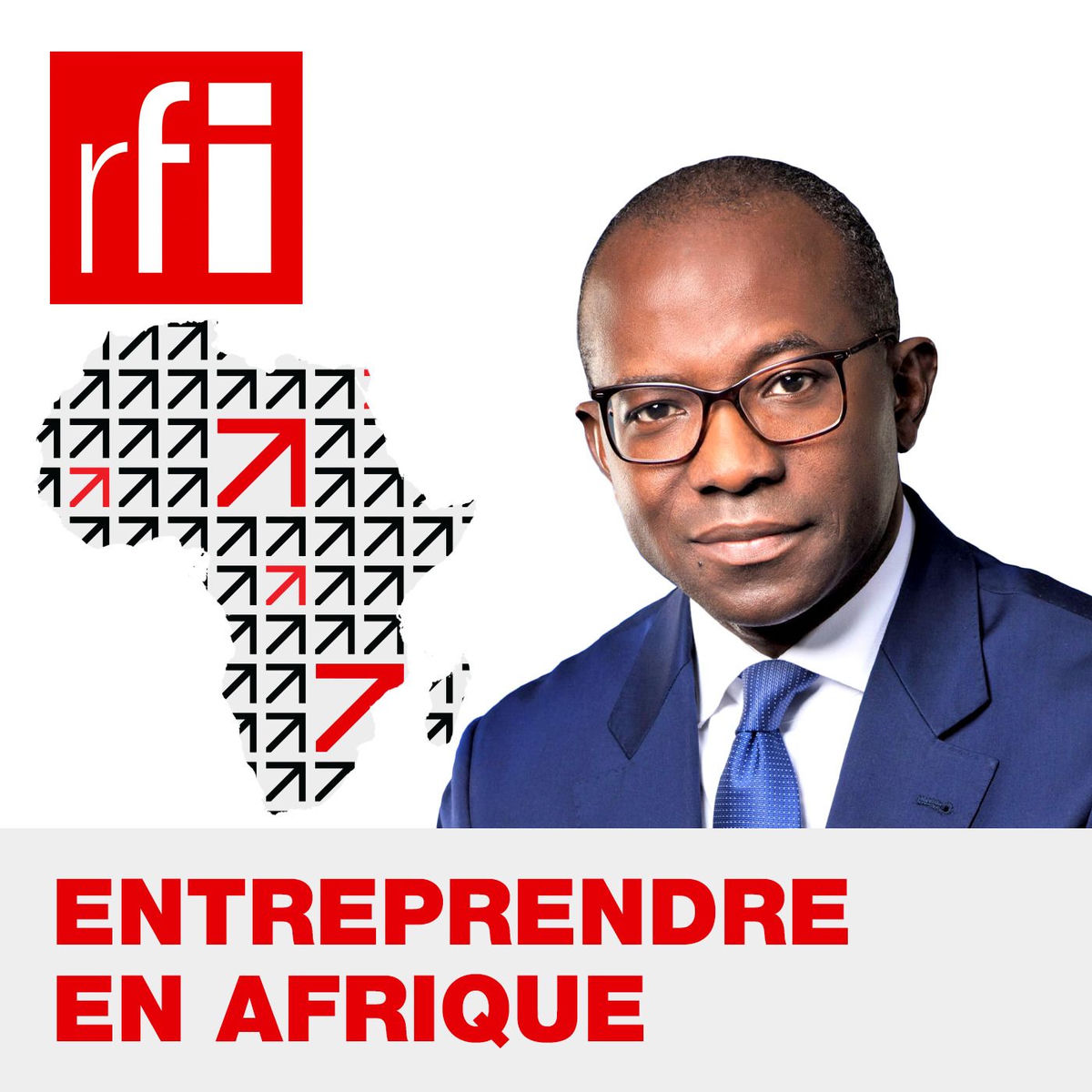 Show cover of Entreprendre en Afrique