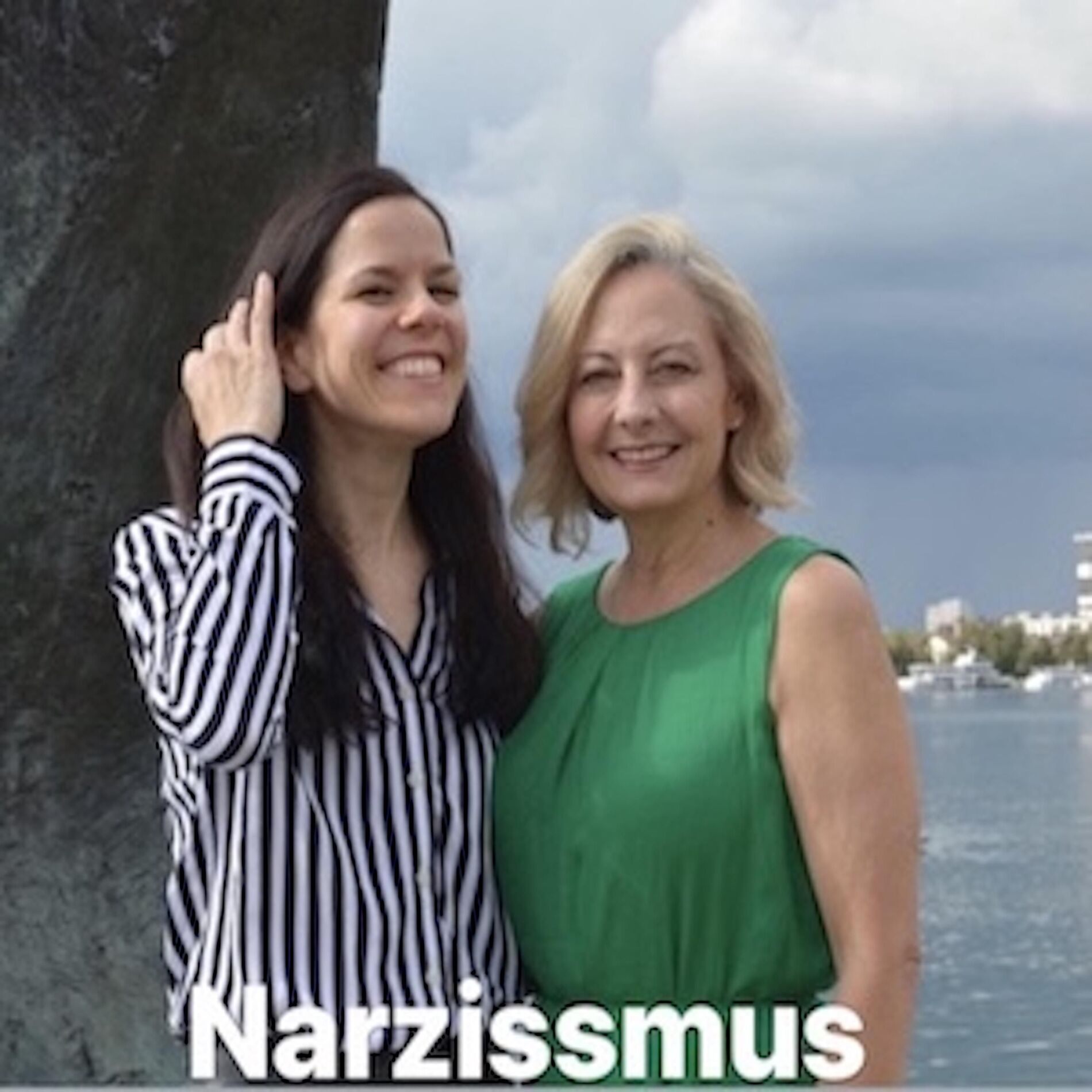 Show cover of Was ist Narzissmus?
