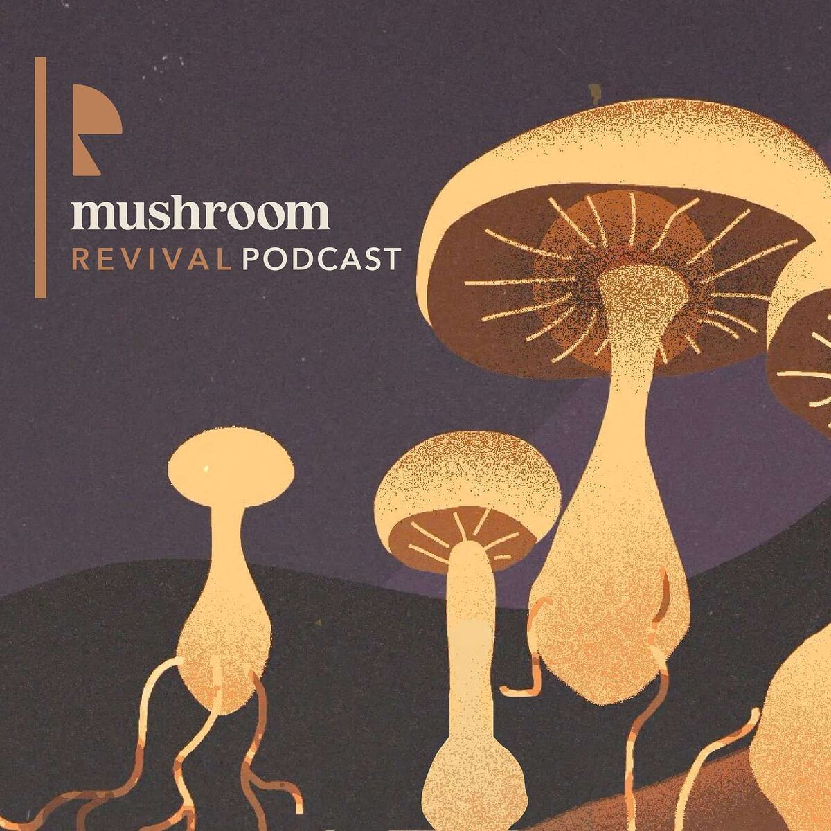 Show cover of Mushroom Revival Podcast