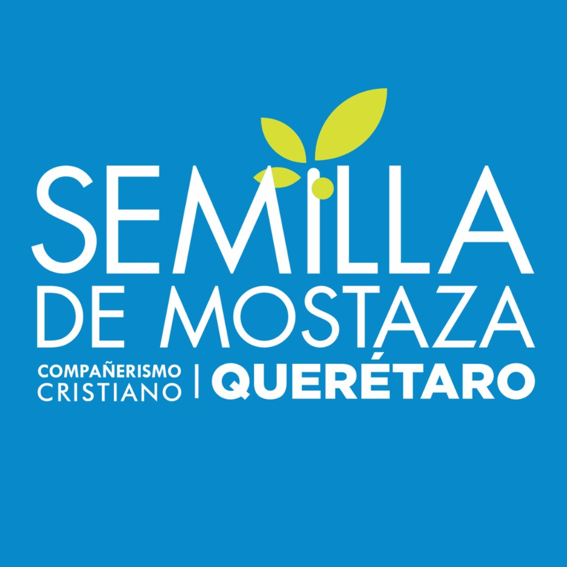 Show cover of Semilla de Mostaza Querétaro
