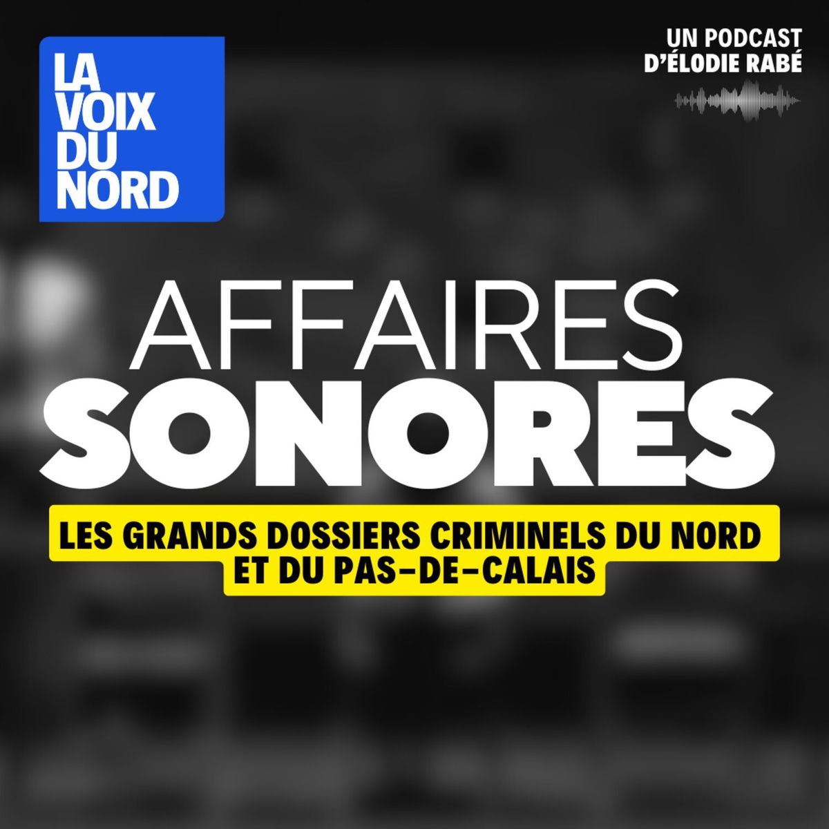 Show cover of Affaires Sonores, le récit des grandes affaires criminelles du Nord Pas-de-Calais