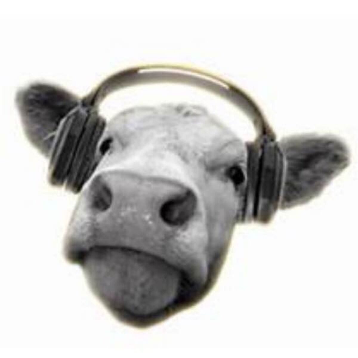 Show cover of Cows, Not Cow - How To Make Your Networking Really Work